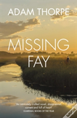 Capa do artigo Missing Fay