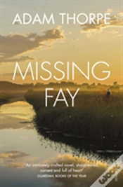 Capa do artigo Missing Fay