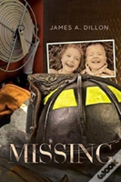 Capa do artigo Missing