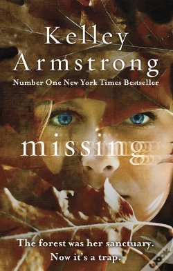 Capa do artigo Missing