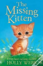 Capa do artigo Missing Kitten