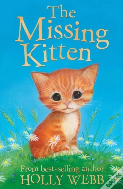 Capa do artigo Missing Kitten