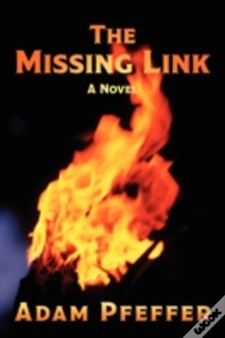 Capa do artigo Missing Link