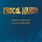 Missing Persons (Alive Forever) - CD - Preview