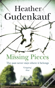 Capa do artigo Missing Pieces