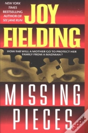 Capa do artigo Missing Pieces