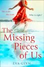 Missing Pieces Of Us - Preview