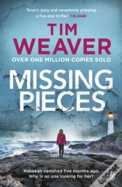 Capa do artigo Missing Pieces