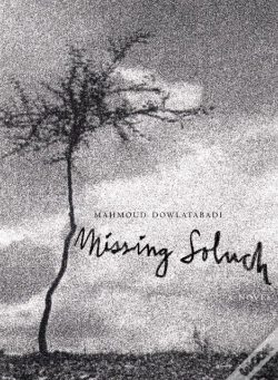 Capa do artigo Missing Soluch