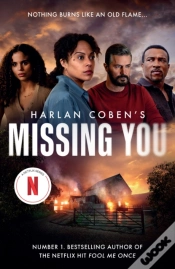 Capa do artigo Missing You