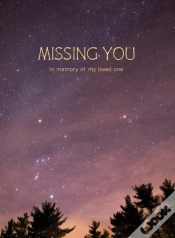 Capa do artigo Missing You