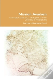 Capa do artigo Mission Awaken