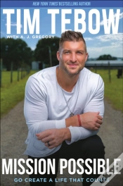 Capa do artigo Mission Possible