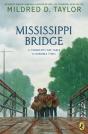 Mississippi Bridge - Preview