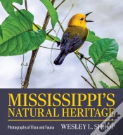 Capa do artigo Mississippi