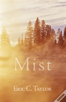 Capa do artigo Mist
