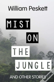 Capa do artigo Mist On The Jungle