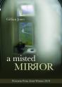 Misted Mirror - Preview
