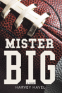 Mister Big - Preview
