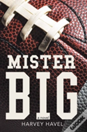 Capa do artigo Mister Big