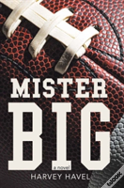 Capa do artigo Mister Big
