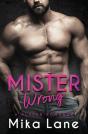 Mister Wrong - Preview