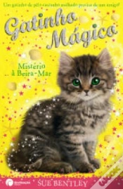 Capa do artigo Mistério à Beira-Mar