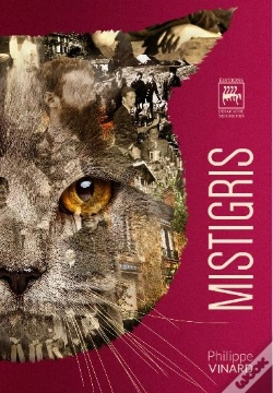 Capa do artigo Mistigris