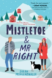 Capa do artigo Mistletoe And Mr. Right