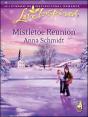 Mistletoe Reunion - Preview