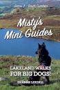 Misty'S Mini Guides - Preview