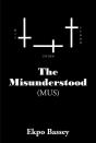 Misunderstood - Preview