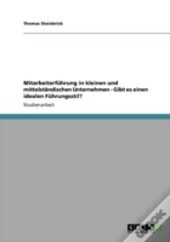 Mitarbeiterfahrung In Kleinen Und Mittelstaã‚Â¤Ndischen Unternehmen - Gibt Es Einen Idealen Fahrungsstil?