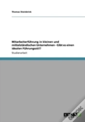 Capa do artigo Mitarbeiterfahrung In Kleinen Und Mittelstaã‚Â¤Ndischen Unternehmen - Gibt Es Einen Idealen Fahrungsstil?