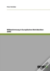 Capa do artigo Mitbestimmung In Europaischen Betriebsraten (Ebr)