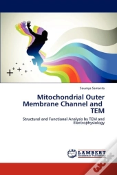Mitochondrial Outer Membrane Channel And Tem
