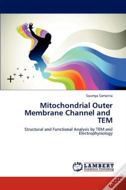 Capa do artigo Mitochondrial Outer Membrane Channel And Tem