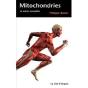 Mitochondries - Preview