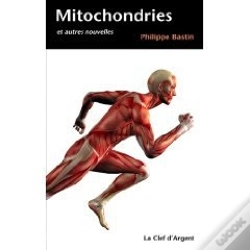 Capa do artigo Mitochondries