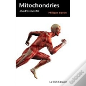 Capa do artigo Mitochondries