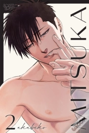 Capa do artigo Mitsuka, Volume 2