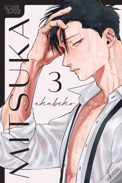 Capa do artigo Mitsuka, Volume 3