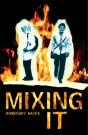 Mixing It (Adobe Ebook) - Preview