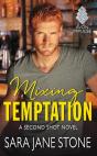 Mixing Temptation - Preview