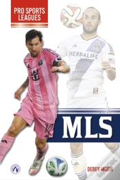 Capa do artigo Mls