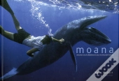 Moana - Le Royaume De Corail