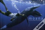 Capa do artigo Moana - Le Royaume De Corail