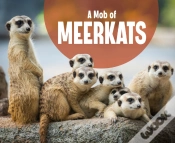 Capa do artigo Mob Of Meerkats