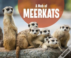 Capa do artigo Mob Of Meerkats