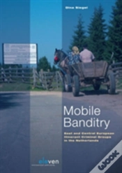 Capa do artigo Mobile Banditry